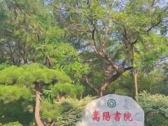 -禅宗少林·音乐大典