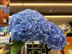 -小西家作(富力爱丁堡店)