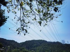 -水濂山森林公园