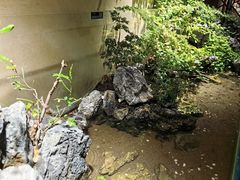 -杭州香格里拉·香宫中餐厅