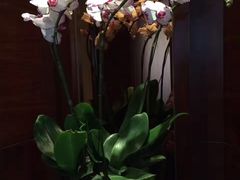 -清水蘭軒