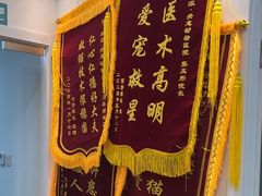 -瑞派·关忠动物医院·猫专科·犬专科(三环新城店)