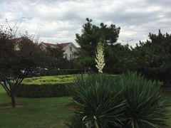 -黑石礁公园