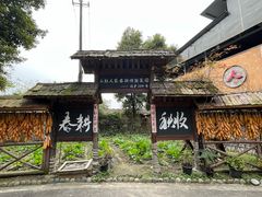 -土灶人家柴火鸡(都江堰店)