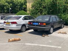 -无忧学车·华茂驾校(宝山校区)