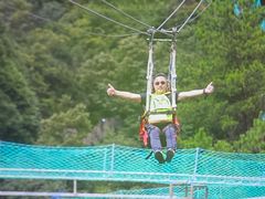 -梦幻奥陶纪景区