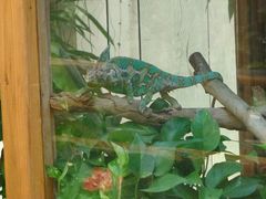 -上海大自然野生昆虫馆