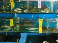 水产区-沙头涌渔栏海鲜餐厅