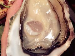 -斯普汇生蚝牛排馆(中骏世界城店)
