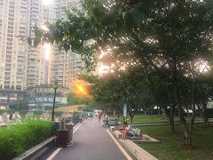 -西北湖绿化广场