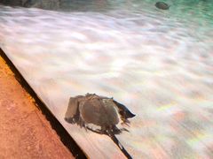 -沈阳海洋探索中心