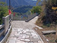 -大岭沟猕猴桃谷风景区