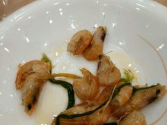 -锦江都城闵行饭店