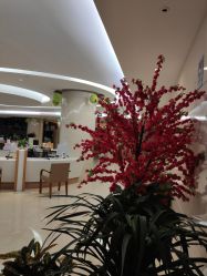 -北京和美妇儿医院