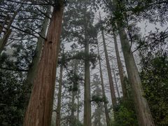 -东天目山风景区