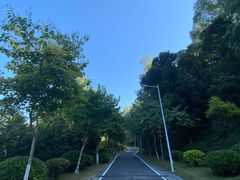 -火炉山森林公园