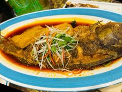 -蒙古大营(朝阳公园店)