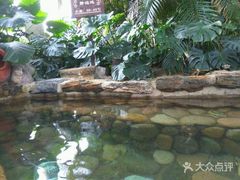 -中家鑫园温泉酒店鑫悦汤泉