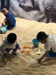 -恐龙探索乐园(磁器口店)