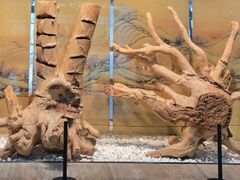 -香市公园-中国沉香文化博物馆