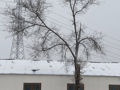 -北京群众马术培训基地