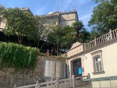 -上海佘山国家森林公园西佘山园