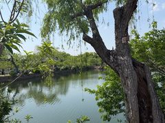 -无锡蠡湖国家湿地公园-蠡园