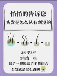 -Bollins波林丝•专研护发中心