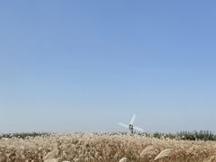 -宁波杭州湾国家湿地公园