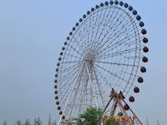 -凤凰欢乐大世界