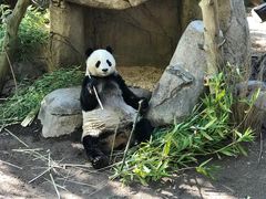 -圣地亚哥动物园
