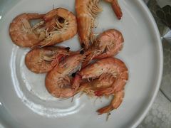 -洞庭家宴·头牌甲鱼(广渠门店)