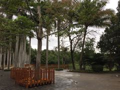 -兴隆槟榔园休闲农庄
