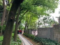 -嘉定紫藤园