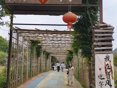 -新安江山水画廊风景区