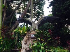 -新加坡飞禽公园
