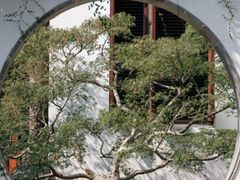 -上海醉白池公园