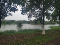 -艾溪湖湿地公园