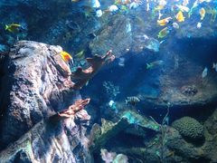 -太平洋海底世界