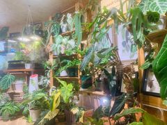 -Rabbit Cafe私房西餐甜点咖啡(栖霞路店)