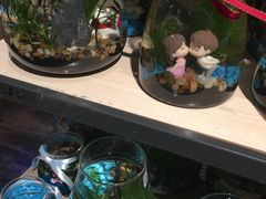 -酷乐潮玩(金桥国际店)