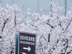 -龙美术馆(西岸馆)