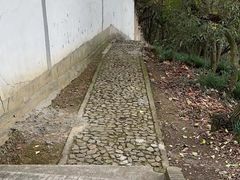 -上海佘山国家森林公园天马山园