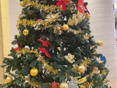 -mango tree芒果树泰国餐厅(青岛万象城店)