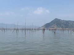 -北岐滩涂