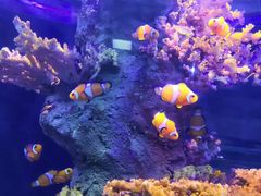 -北海·海洋之窗