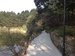 景点-庐山风景区花径公园