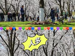-龙美术馆(西岸馆)