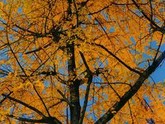 -西南政法大学(渝北校区)