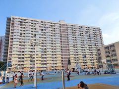 -彩虹村